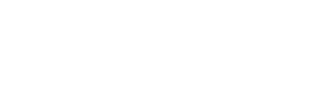 Category Management, procurement, dual source, sourcing